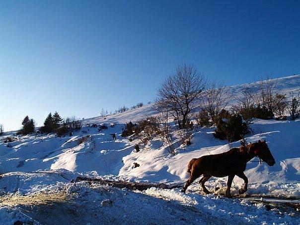 Баня-Березів з panoramio.com - Баня-Березов