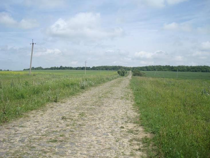 Черепова з panoramio.com - Черепова
