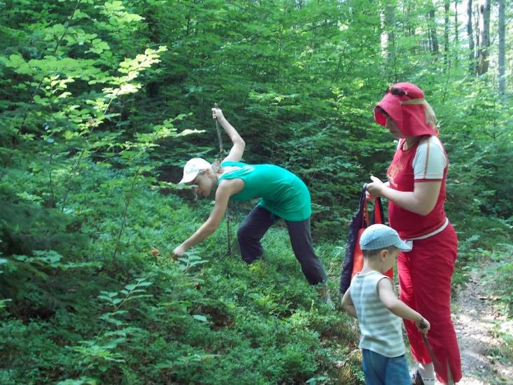 Прокурава з panoramio.com - Prokurava