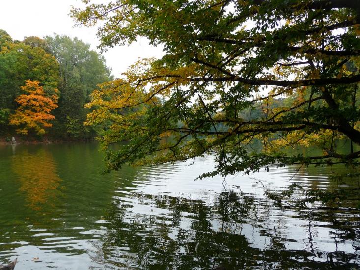 Васьківці з panoramio.com - Васьковцы