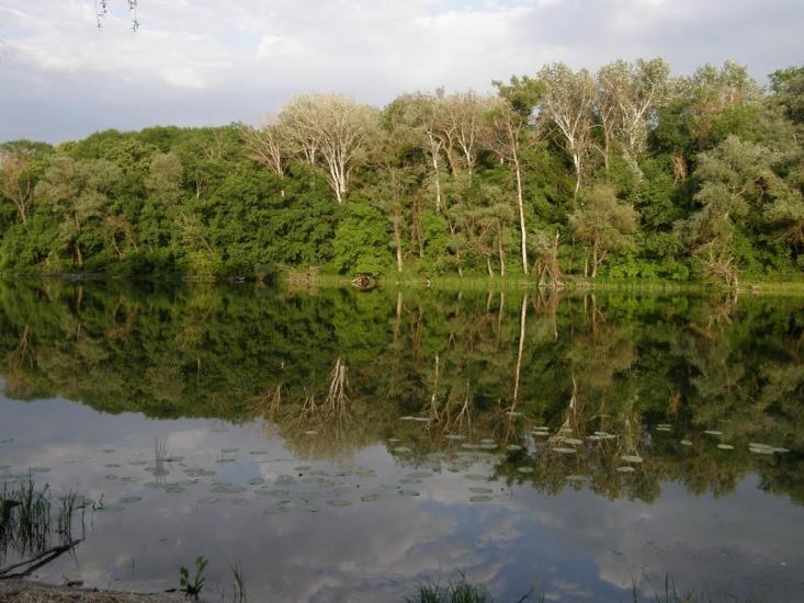 Пришиб з panoramio.com - Пришиб