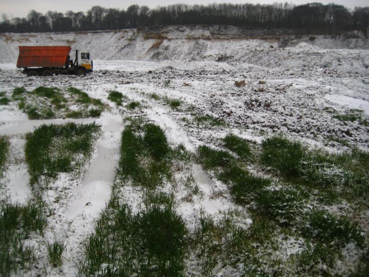 Пасіки-Зубрицькі з panoramio.com - Пасеки-Зубрицкие