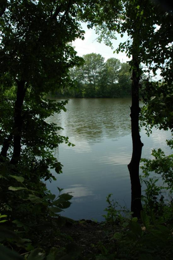 Весела Гора з panoramio.com - Весела Гора