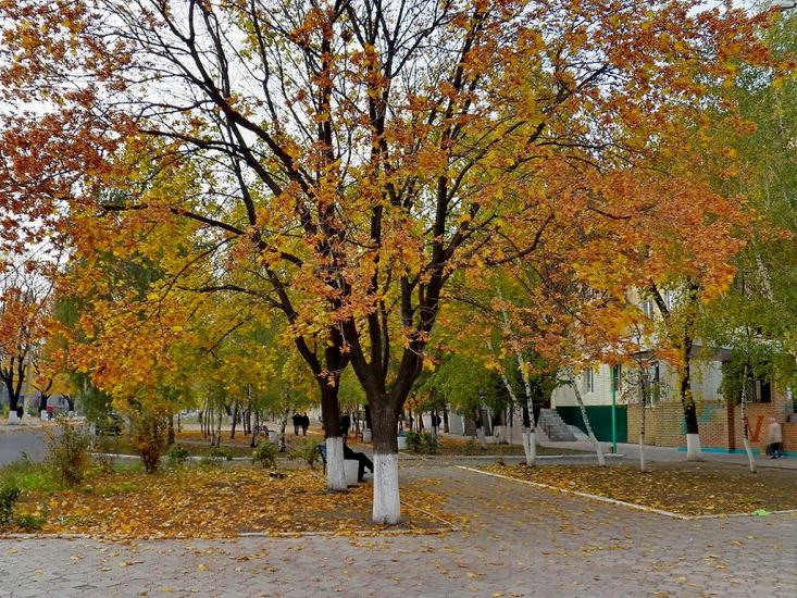 Жданівка з panoramio.com - Ждановка