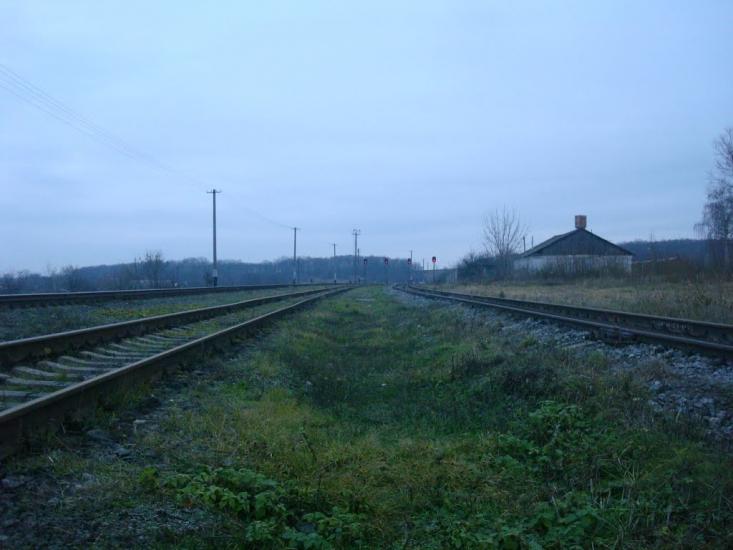 Щиборівка з panoramio.com - Щиборівка