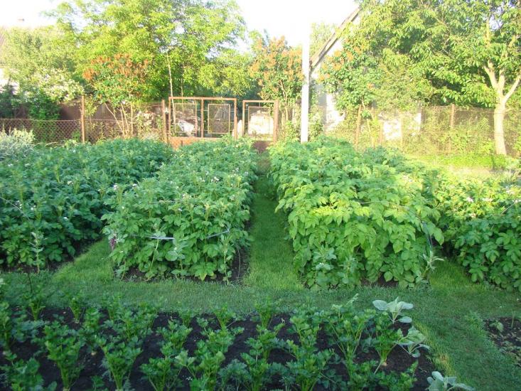 Підрясне з panoramio.com - Подрясное