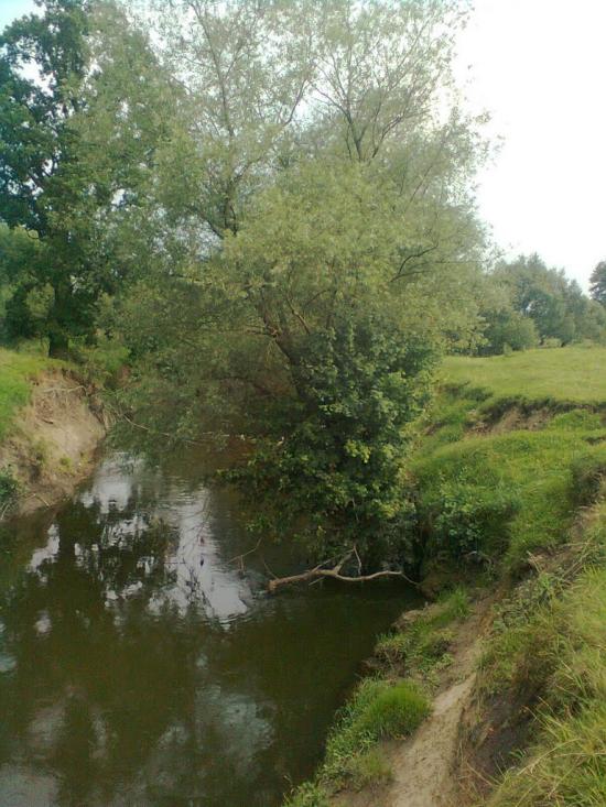 Копанки з panoramio.com - Копанки