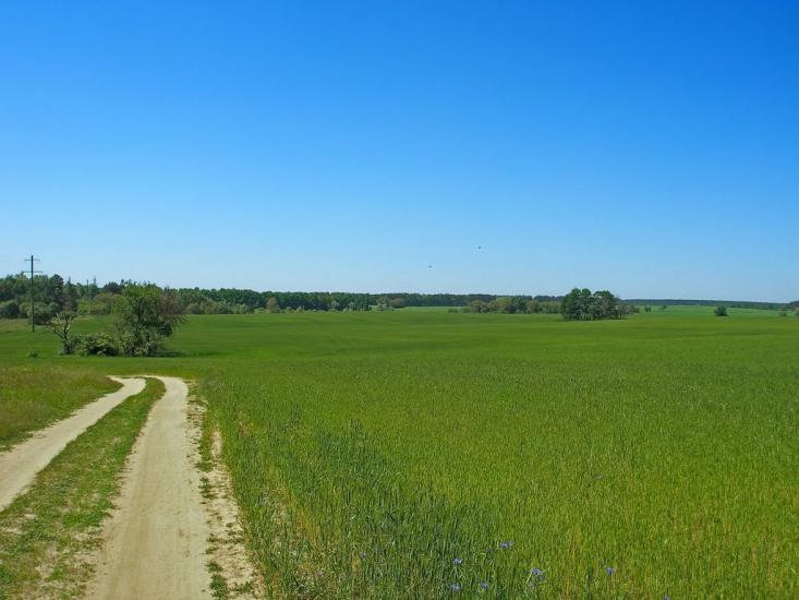 Забір'я з panoramio.com - Zabirya