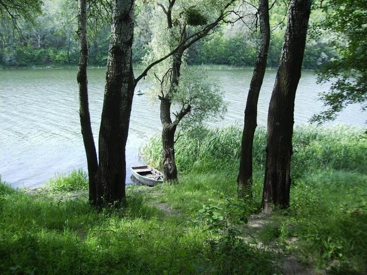 Ярова з panoramio.com - Ярова