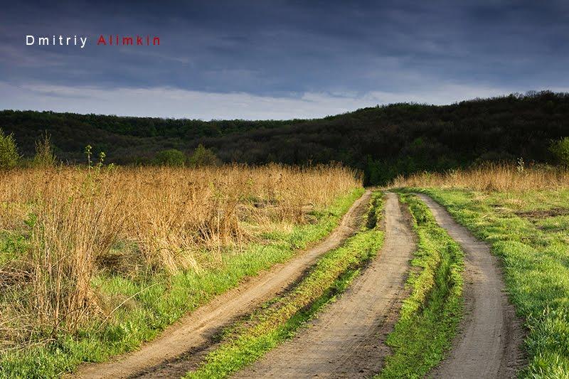 Пасіка з panoramio.com - Пасека