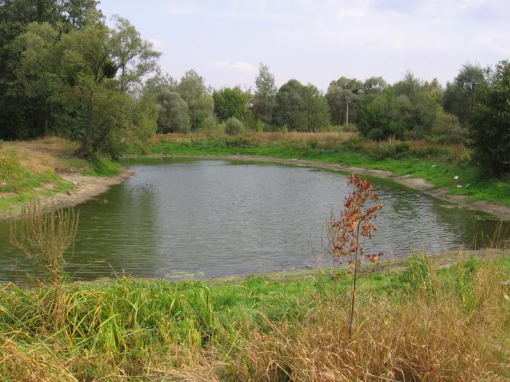 Хорошеве з panoramio.com - Хорошево