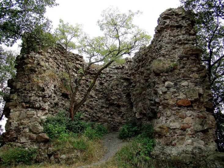 Королево з panoramio.com - Королево
