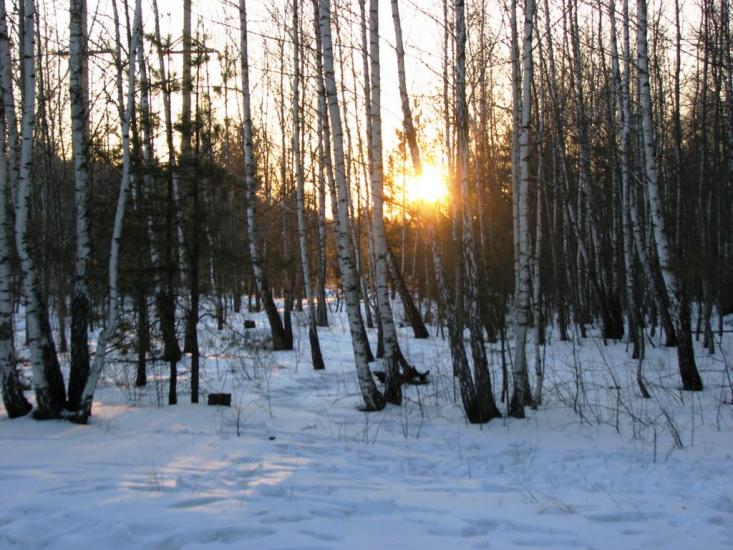 Червона Гута з panoramio.com - Червона Гута
