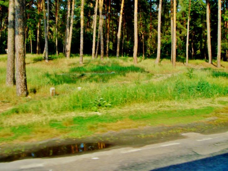 Тараща з panoramio.com - Тараща