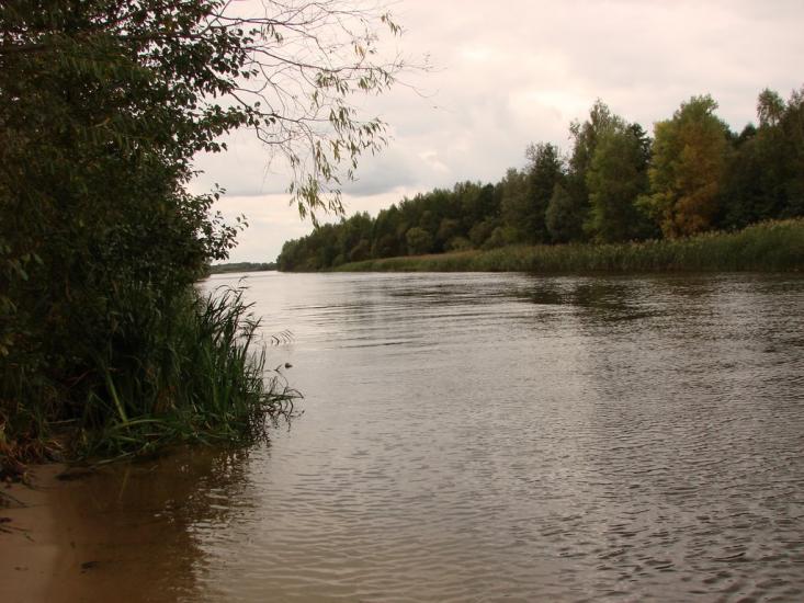 Сорокошичі з panoramio.com - Сорокошичи