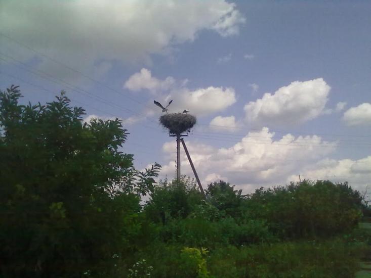 П'ятигірці з panoramio.com - П'ятигірці