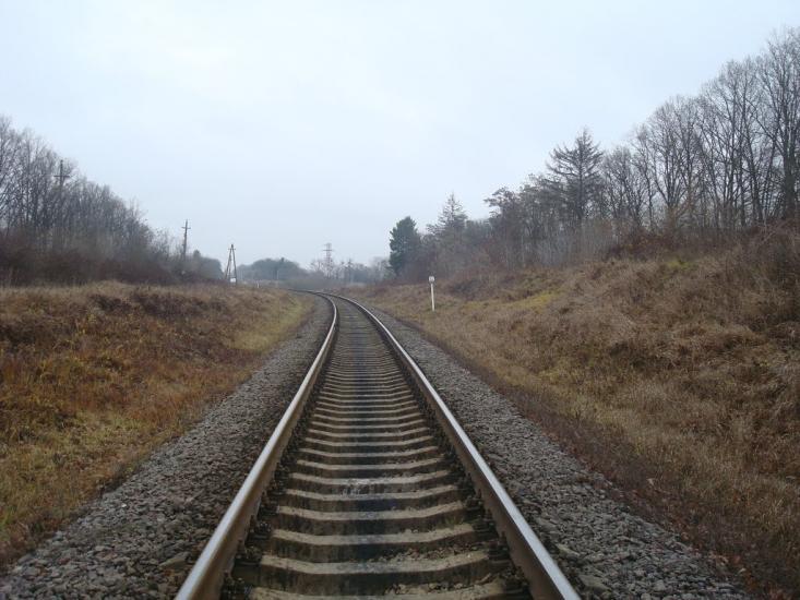 Кузьмин з panoramio.com - Кузьмин