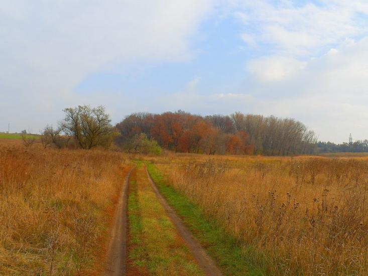 Нижня Кринка з panoramio.com - Нижняя Крынка