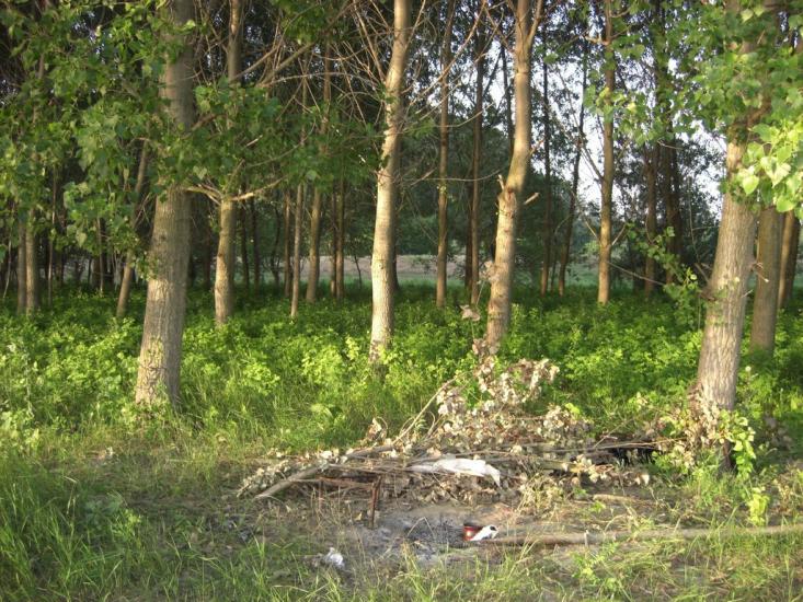 Матроська з panoramio.com - Матросская