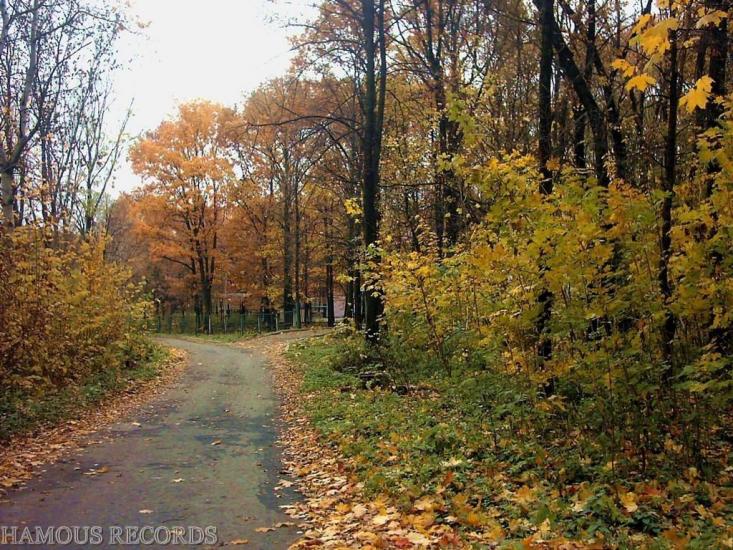 Токарі з panoramio.com - Токари