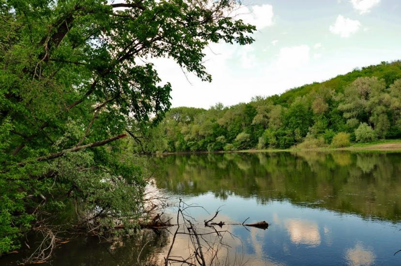 Шипилівка з panoramio.com - Shypylivka