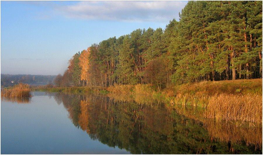 Житомир з panoramio.com - Житомир