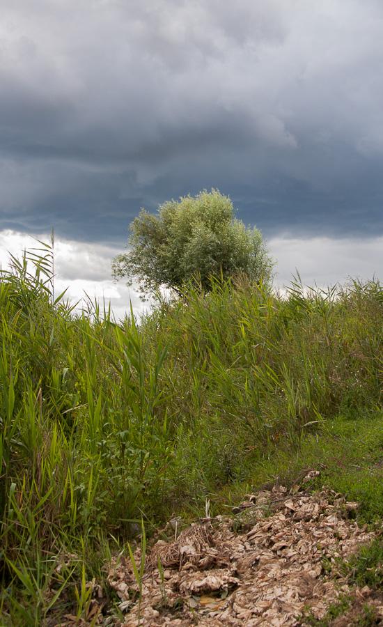 Зідьки з panoramio.com - Zidky