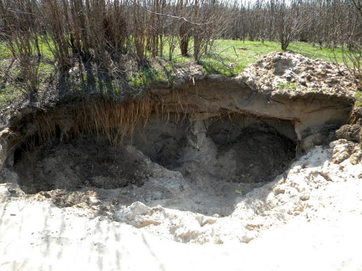 Павлівка з panoramio.com - Павловка