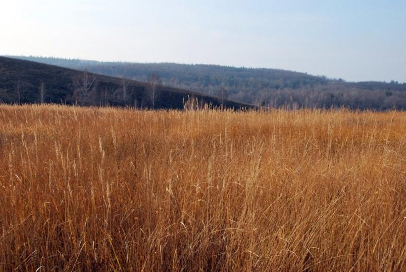 Гвоздів з panoramio.com - Гвоздов