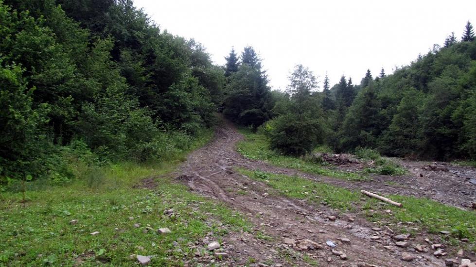 Кричка з panoramio.com - Кричка