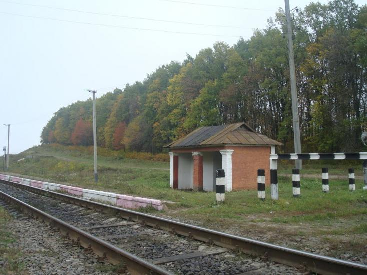 Малиничі з panoramio.com - Малиничи