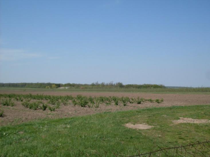 Карбівське з panoramio.com - Karbivske