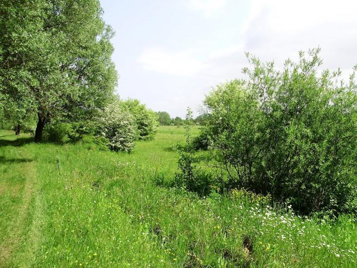 Черниця з panoramio.com - Черниця
