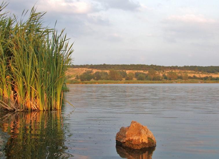 Алмазна з panoramio.com - Almazna