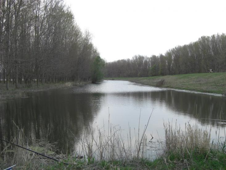 Матроська з panoramio.com - Матросская