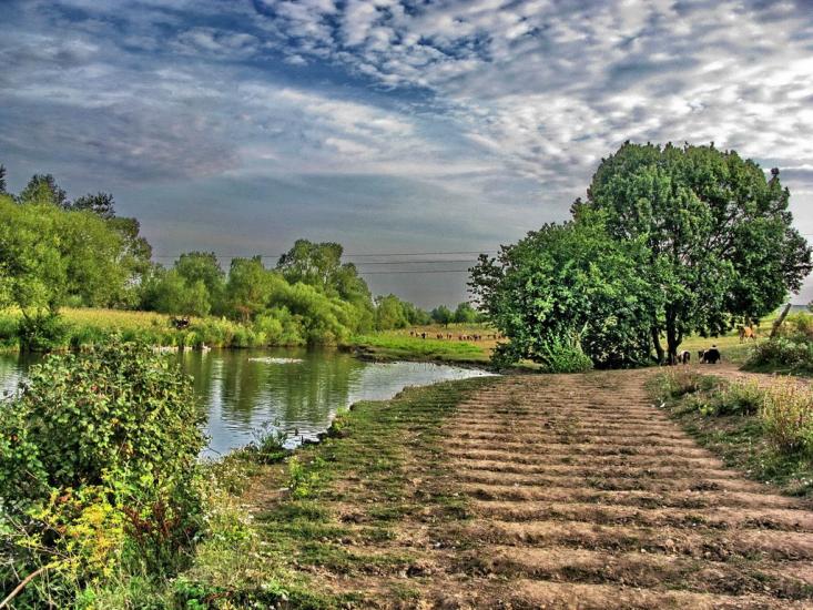 Стрільче з panoramio.com - Стрельче