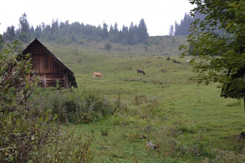 Ільці з panoramio.com - Ильцы