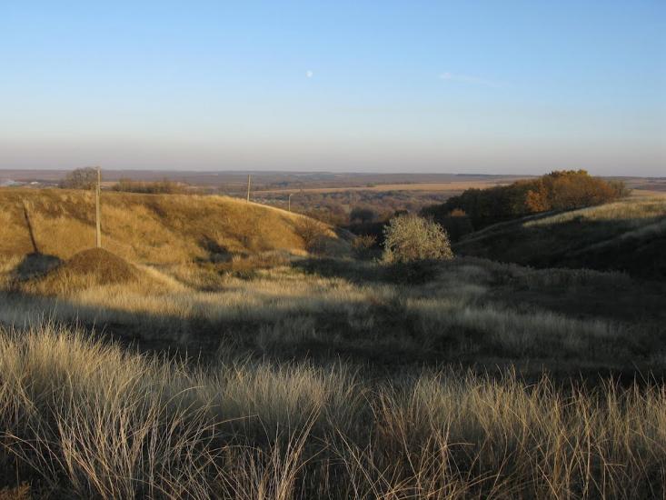 Нова Осота з panoramio.com - Новая Осота