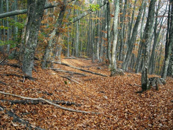 Малий Маяк з panoramio.com - Малий Маяк