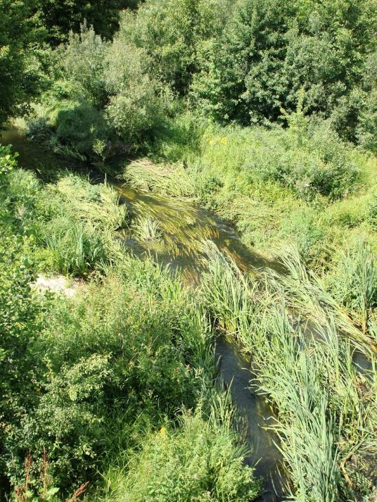 Царівка з panoramio.com - Царевка