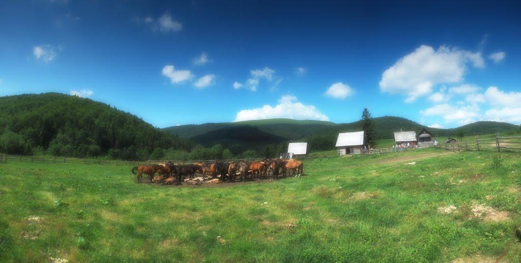 Кічерний з panoramio.com - Кичерный