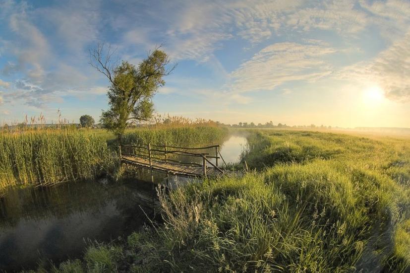 Черкаські Тишки з panoramio.com - Черкаські Тишки