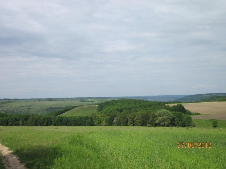 Бабин з panoramio.com - Babyn