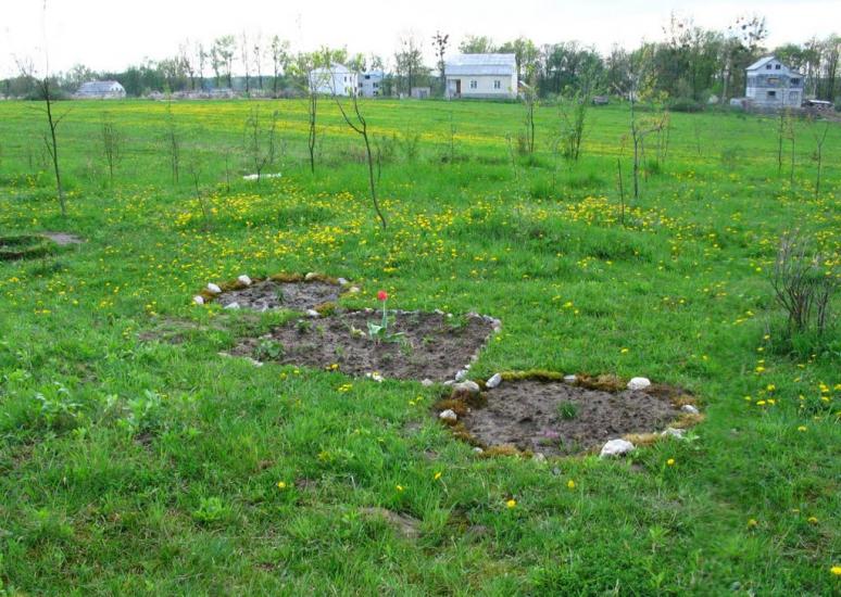 Старичі з panoramio.com - Старичі