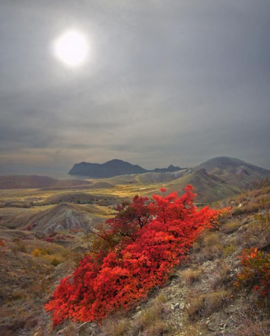 Підгірне з panoramio.com - Підгірне