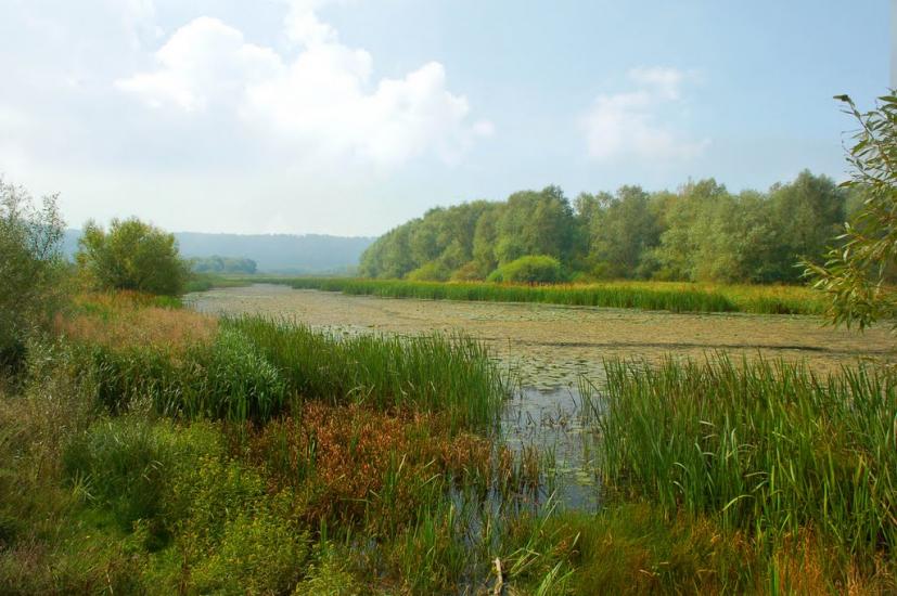 Старе Село з panoramio.com - Старое Село