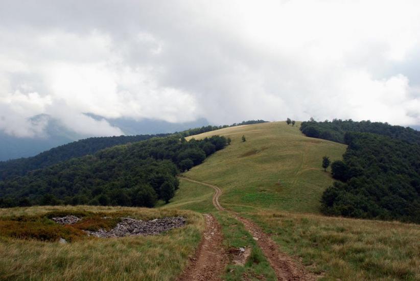 Усть-Чорна з panoramio.com - Усть-Чорна