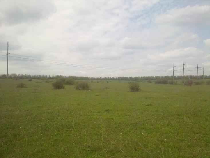 Михайло-Ларине з panoramio.com - Михайло-Ларине