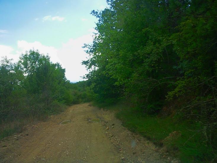 Щасливе з panoramio.com - Schaslyve