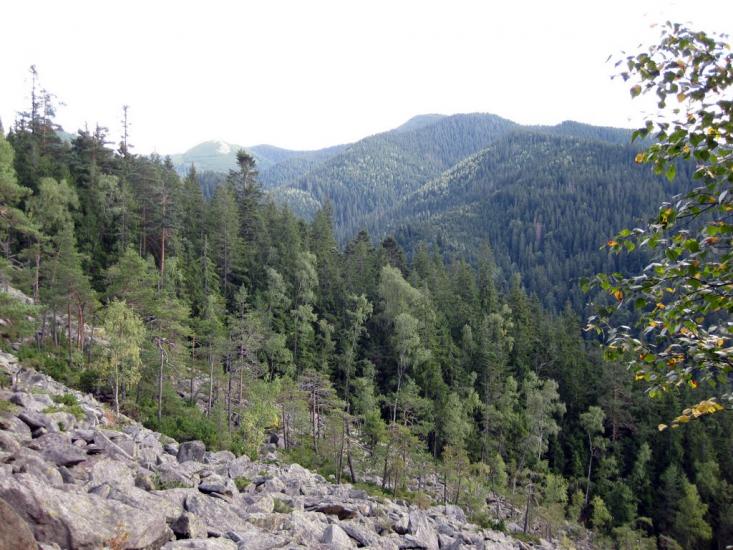 Максимець з panoramio.com - Maksymets